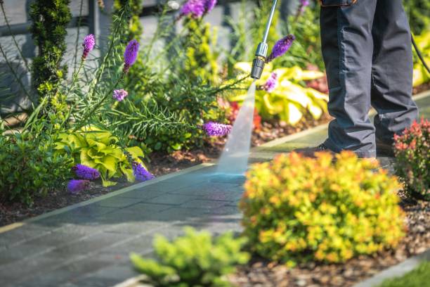 Best Parking Lot and Garage Cleaning  in El Portal, FL