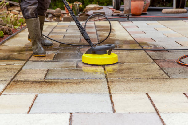 Best Roof Washing  in El Portal, FL